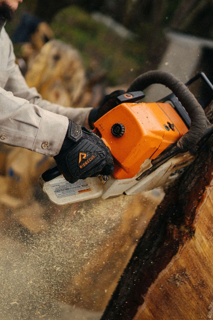 A chainsaw bites into a log