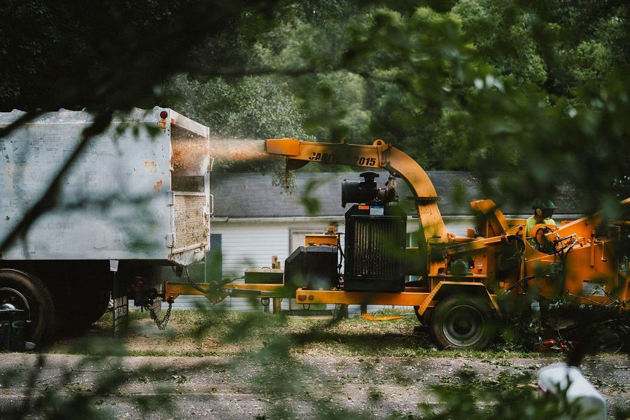 Wilson Land Masters crew at work on a tree job