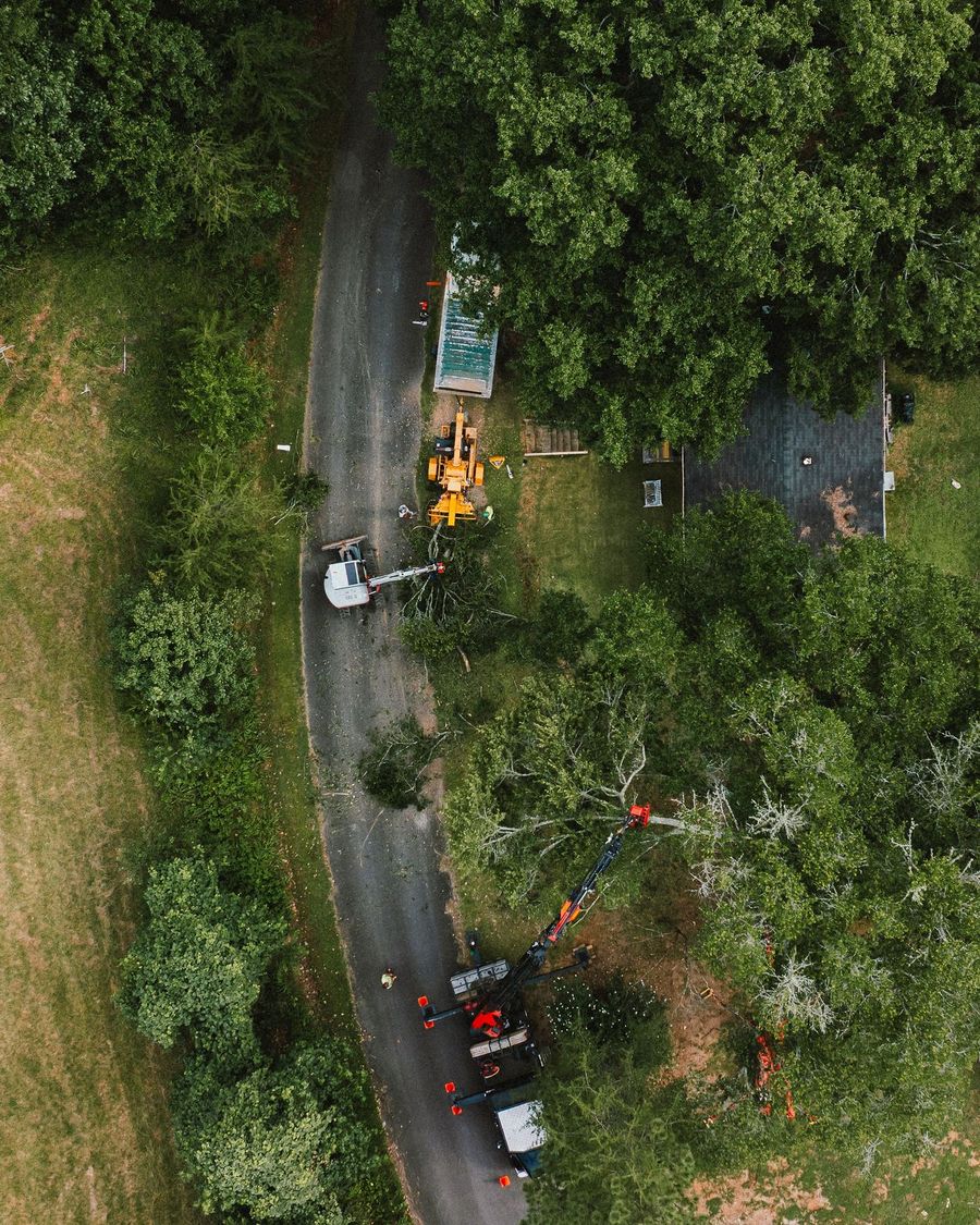 Wilson Land Masters crew at work on a tree job