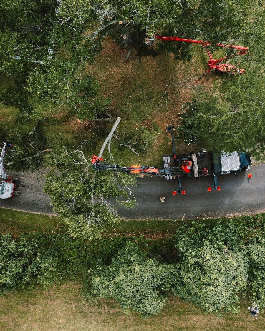 Wilson Land Masters crew at work on a tree job