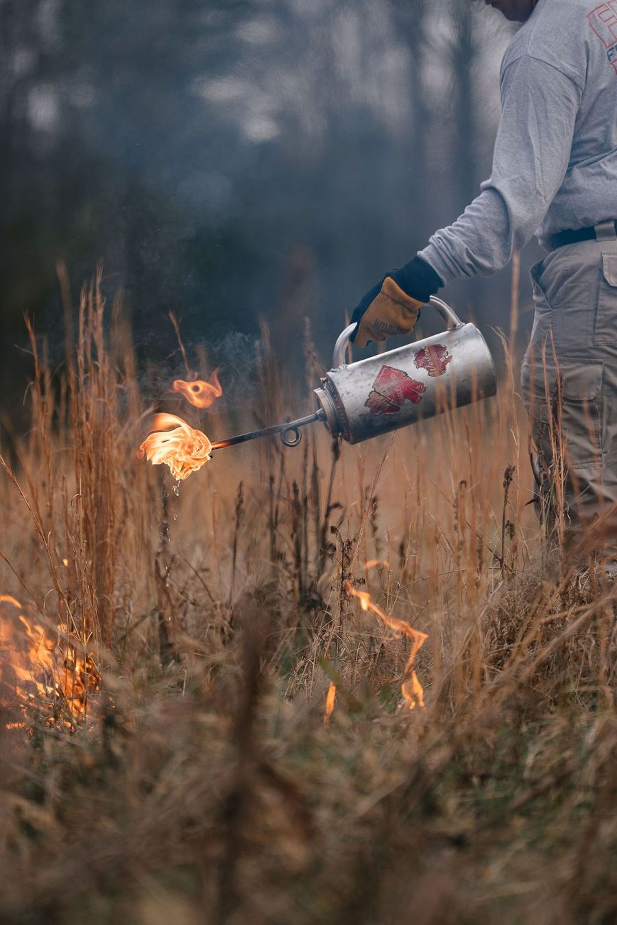 Wildland firefighters during a Red Card pack test