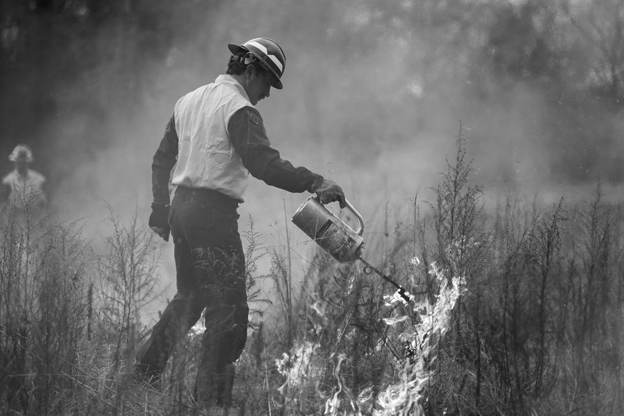 Wildland firefighters during a Red Card pack test