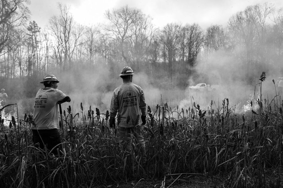 Wildland firefighters during a Red Card pack test